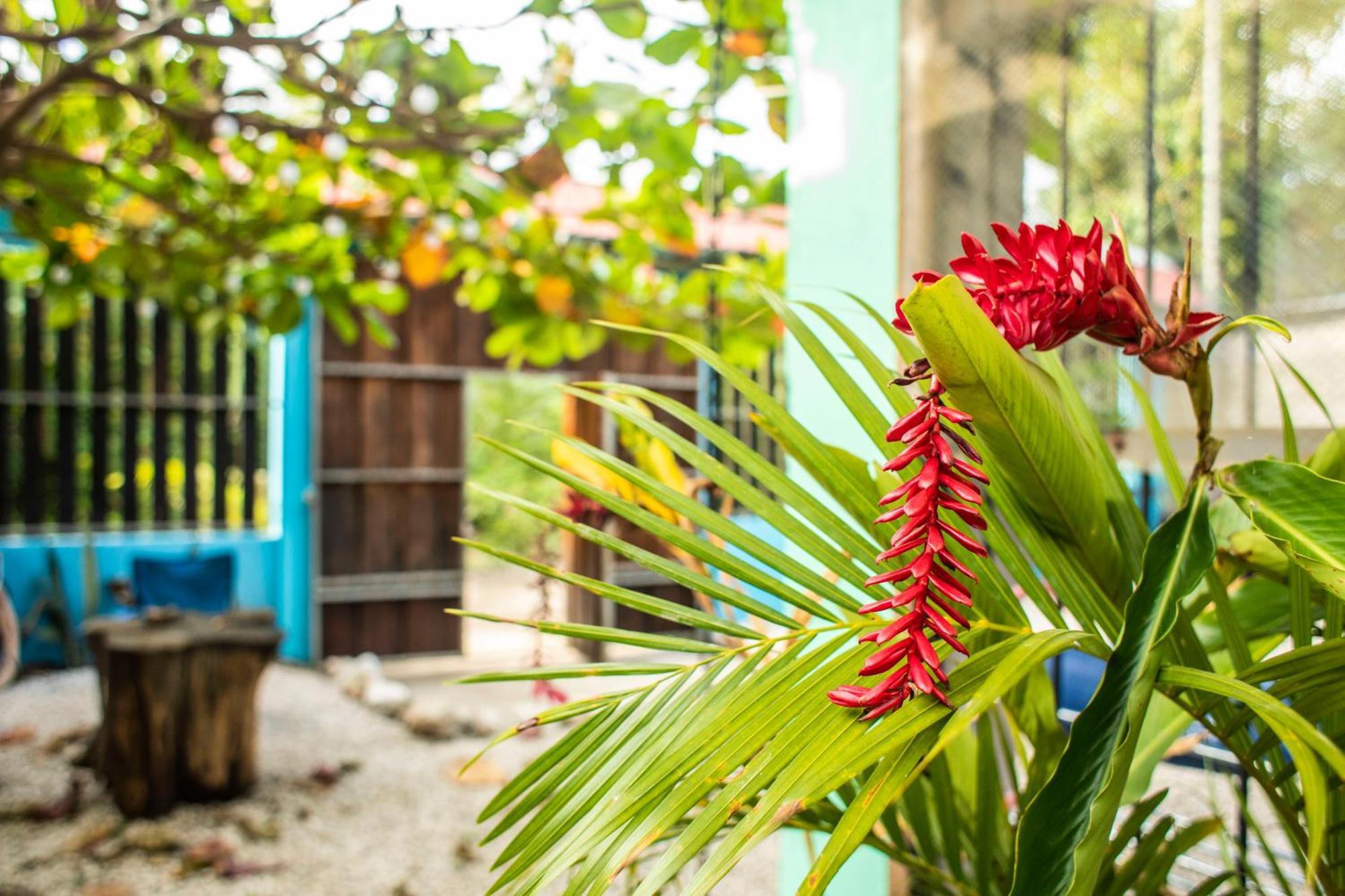 Argdivan Beach Hostel Самара Экстерьер фото